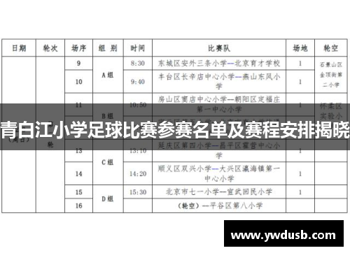 青白江小学足球比赛参赛名单及赛程安排揭晓