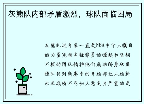 灰熊队内部矛盾激烈，球队面临困局